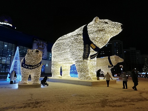 Стало известно, когда белые медведи вернутся в Тюмень и Тобольск