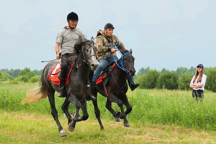 Тоболяки отмечают народный праздник Сабантуй