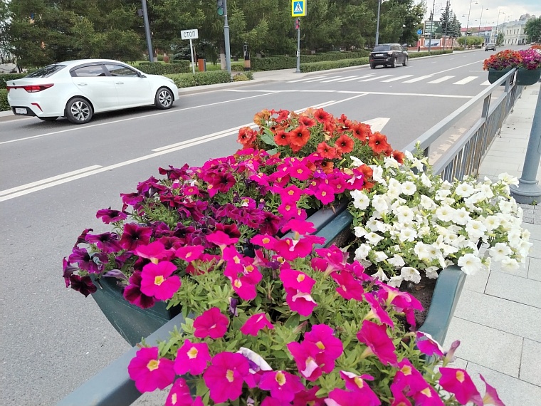 В районе Цветного бульвара в Тюмени перекроют дорогу