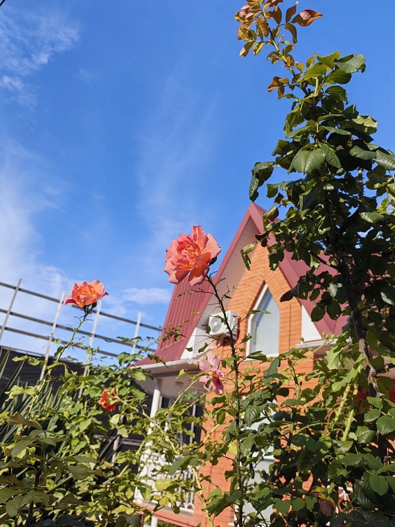 Купить домик у моря: среди тюменцев растет интерес к недвижимости в других регионах страны