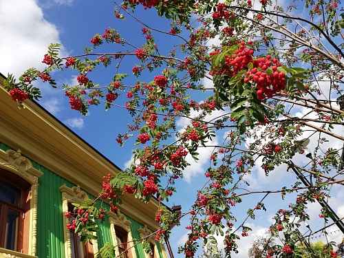 В Тюмени в выходные ожидается потепление