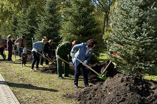 В центре Тюмени в память о погибших на СВО офицерах высадили ели