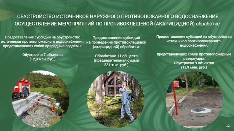 Тюменские дачники стали меньше заявляться на субсидии по противоклещевой обработке