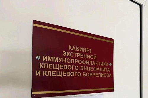 Как не принести клеща домой: комментарий тюменского врача