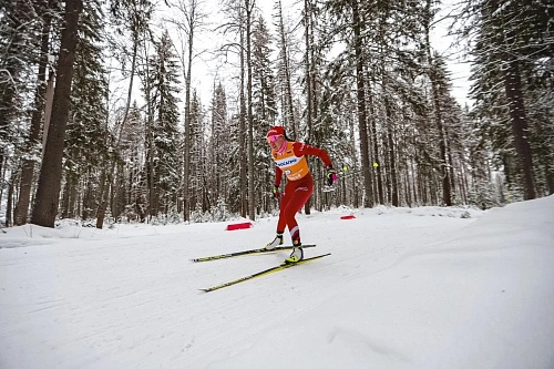 Чемпионат Тюменской области по лыжным гонкам стартует 17 января: расписание