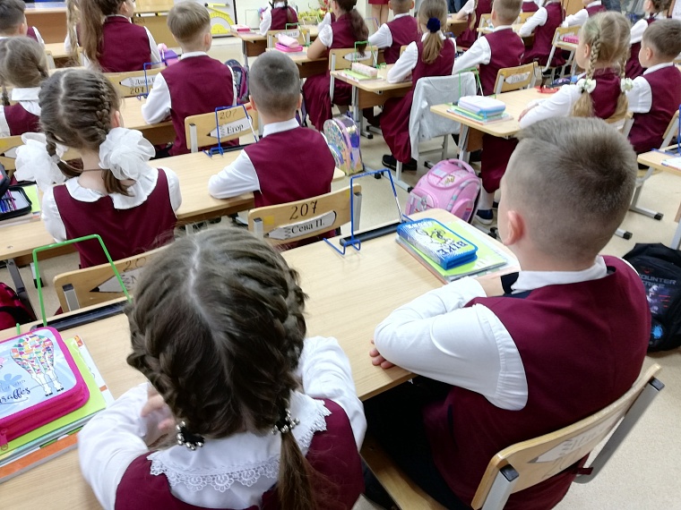 В Тюмени программа «Мой новый друг» для школьников-иностранцев получит продолжение