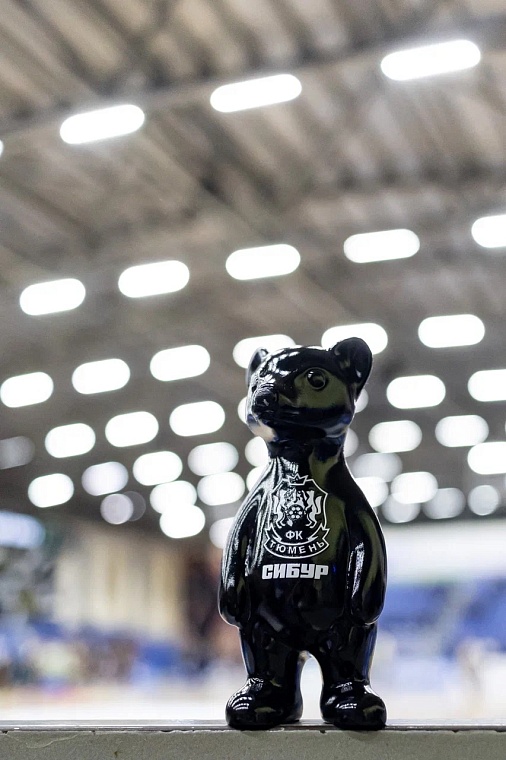 Символ МФК «Тюмень» сменил костюм