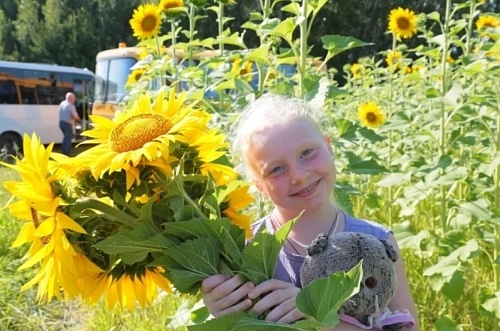 СНИЛС 10-летней девочки из Омска оказался в сотнях исполнительных производств по всей стране