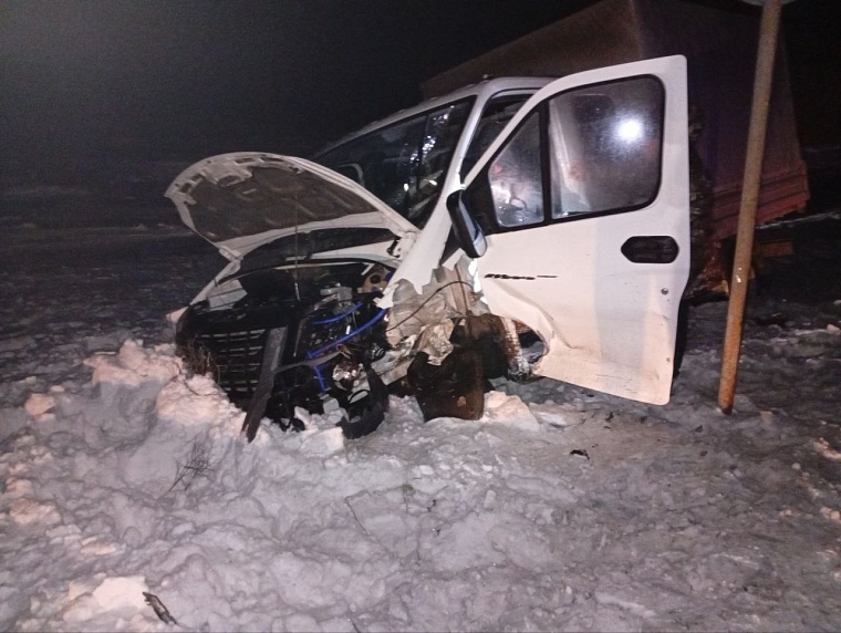 Трое взрослых и трехлетний ребенок получили травмы в ДТП под Ишимом