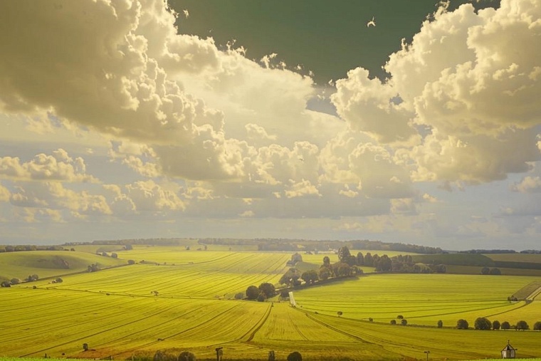 Народные приметы на 14 мая: в этот день не давай взаймы - ни денег, ни куска хлеба