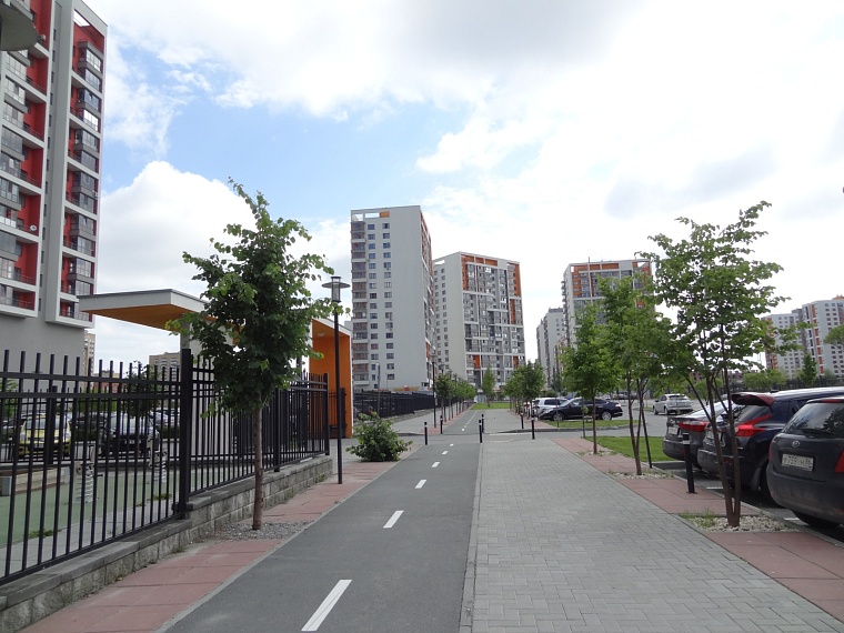 Глава Тюмени отреагировал на обращения жителей Европейского в защиту деревьев