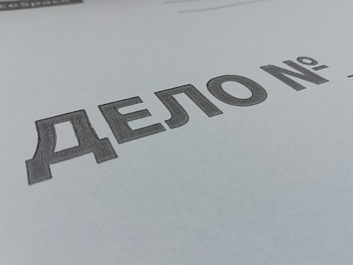 В Тюмени возбуждено уголовное дело против экс-сотрудницы ГАИ за «слив» конфиденциальной информации