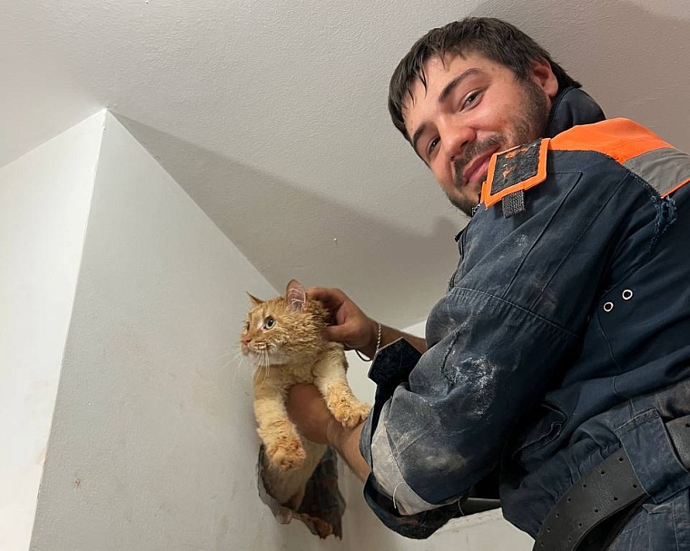 В Ноябрьске спасли кота после суток в вентиляции