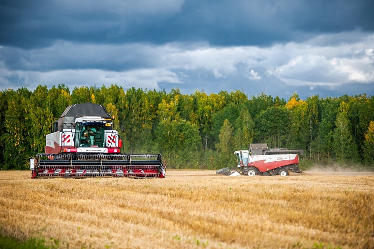 Тюменцев приглашают написать агродиктант
