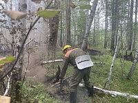 Выявлять лесные пожары "Тюменской авиабазе" помогают камеры наблюдения