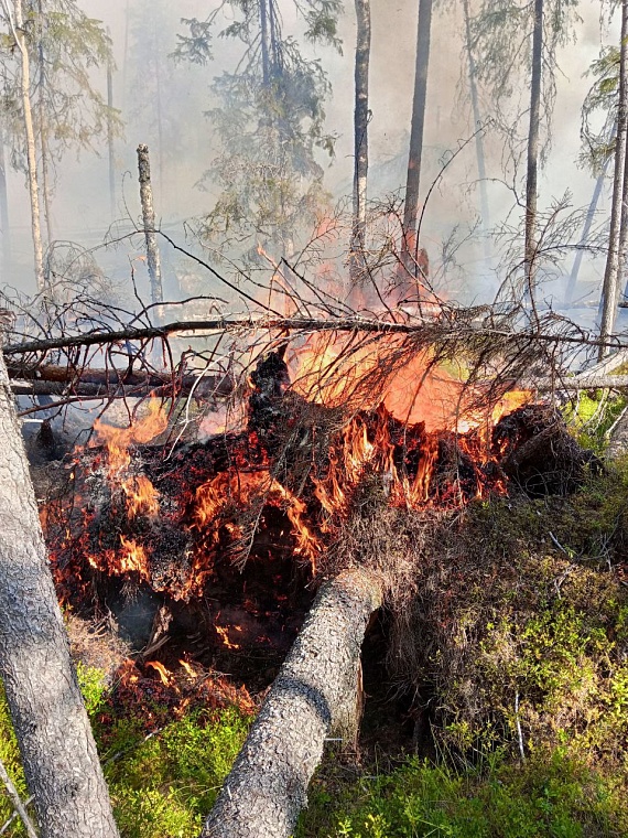 Где техника бессильна, в бой с огнем вступает пожарный десант