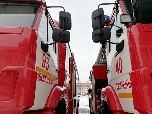 МЧС: В Тюменской области зафиксированы первые ландшафтные пожары