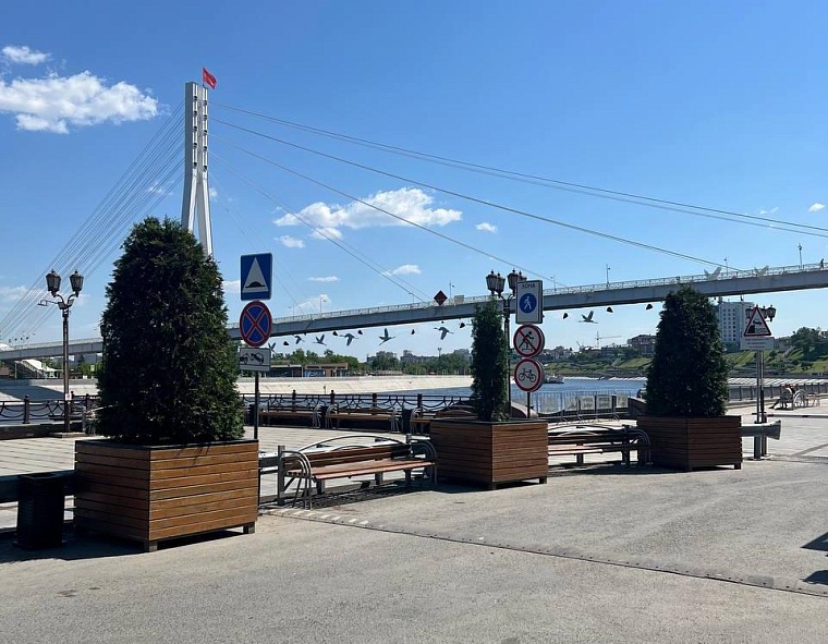 На набережную Туры в Тюмени вернули туи