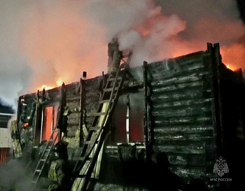 В ночном пожаре в тюменском СНТ погибла женщина