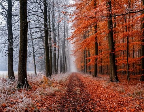 Народные приметы на 13 октября: если первый снег выпадет на Михаила - зима придет еще не скоро