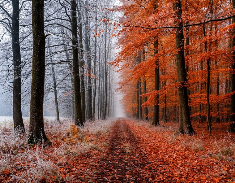 Народные приметы на 13 октября: если первый снег выпадет на Михаила - зима придет еще не скоро