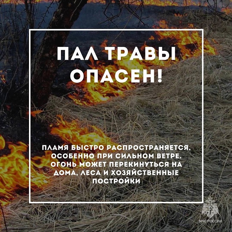 В Тюменской области 16 человек оштрафовали за нарушения требований пожарной безопасности