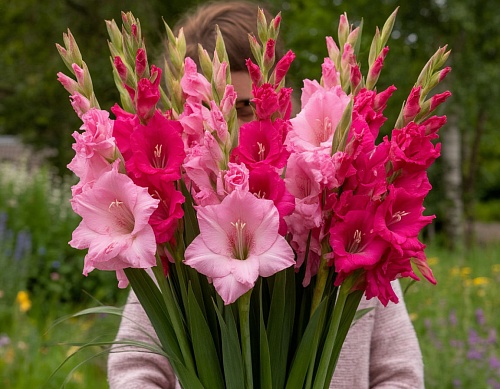 «Не унижайте учителей этими разговорами!»: педагоги и родители о цветах на 1 сентября