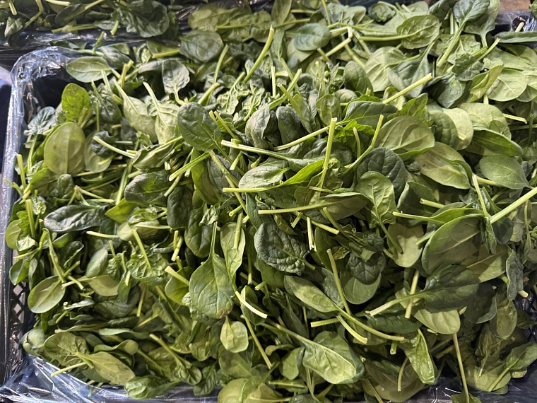 Тюменское предприятие получило более 83 тонн свежей зелени из Узбекистана