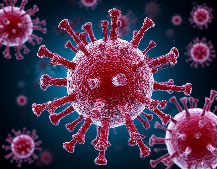 Врач-инфекционист рассказала об опасности вируса чикунгунья