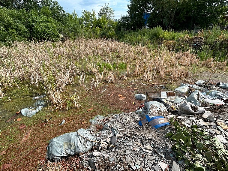 Трясина здесь достаточно глубокая, чтобы смог утонуть маленький ребенок