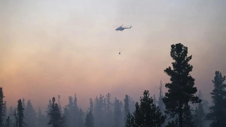 На Ямале полностью ликвидировали лесные пожары