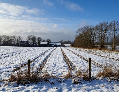 Народные приметы на 15 октября: если снег выпал - через 40 дней зима установится