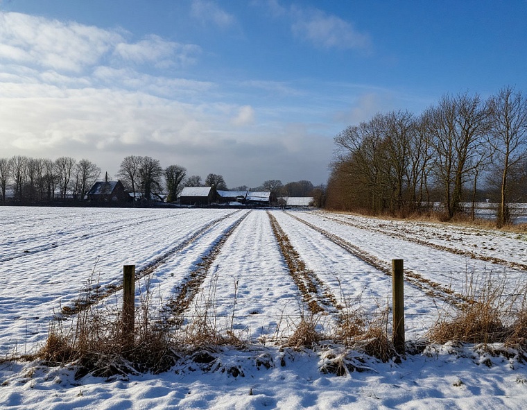 Народные приметы на 15 октября: если снег выпал - через 40 дней зима установится