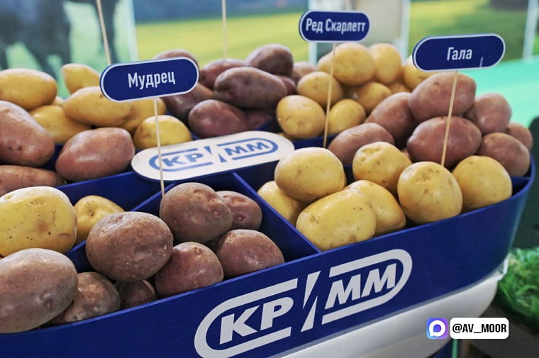 Александр Моор представил инвестпроекты АПК и тюменскую продукцию на выставке в Екатеринбурге