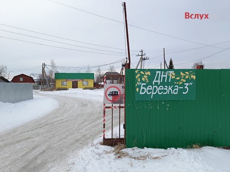 Дачники обвиняют председателя тюменского ДНТ "Березка-3" в махинациях с землей