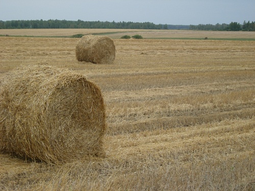 Народные приметы на 10 сентября: почему свататься в этот день не советовали