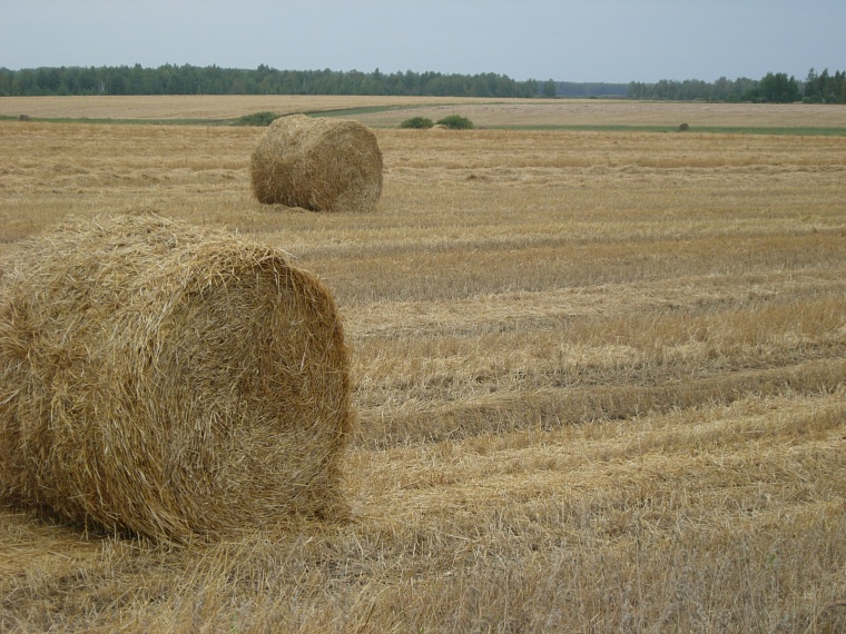 Народные приметы на 10 сентября: почему свататься в этот день не советовали