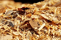 Отходы в доходы: на Ямале проведут эксперимент по превращению древесных опилок в биогумус