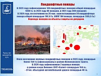 Депутаты гордумы оценили подготовку Тюмени к противопожарному режиму