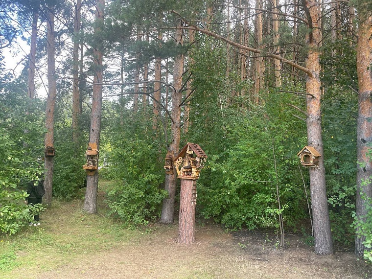 В экопарке Затюменском установили новые домики для белок