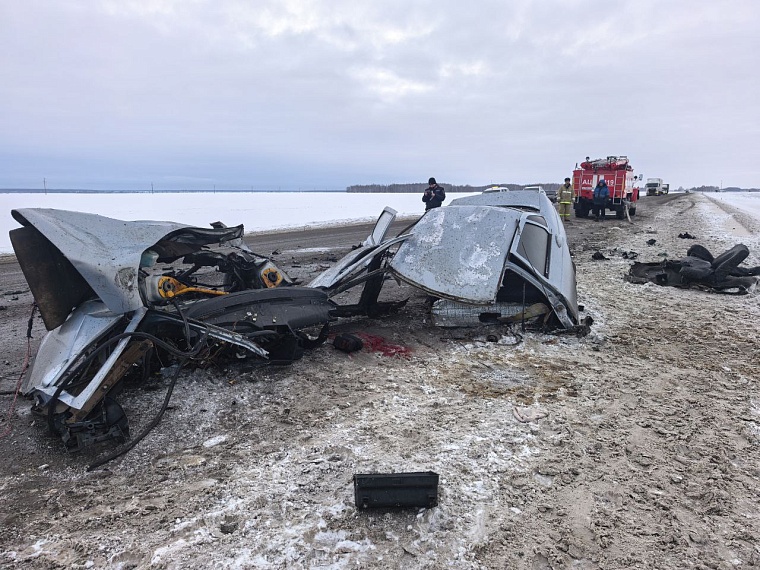 Женщина и ребенок погибли в страшной аварии на трассе Тюмень-Омск