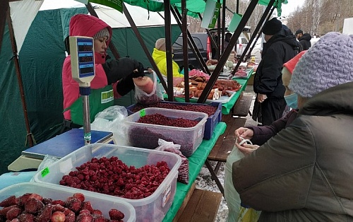 25 ноября в Тюмени пройдут продовольственные ярмарки