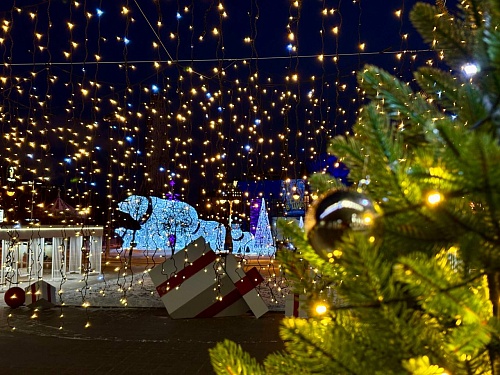 У здания администрации Тюмени появилась новая красивая гирлянда