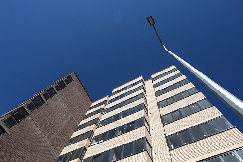 Продать без ремонта: спрос на хоумстейджинг в Тюменской области вырос в 4,5 раза