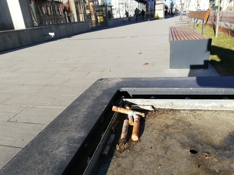 Фото: Вслух.ру