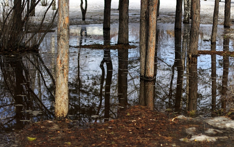 Народные приметы на 9 апреля: щука лед хвостом разбивает