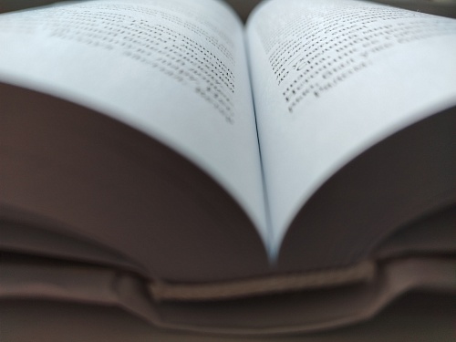 Тюменская писательница выпустила книгу о блокадном детстве в Сибири