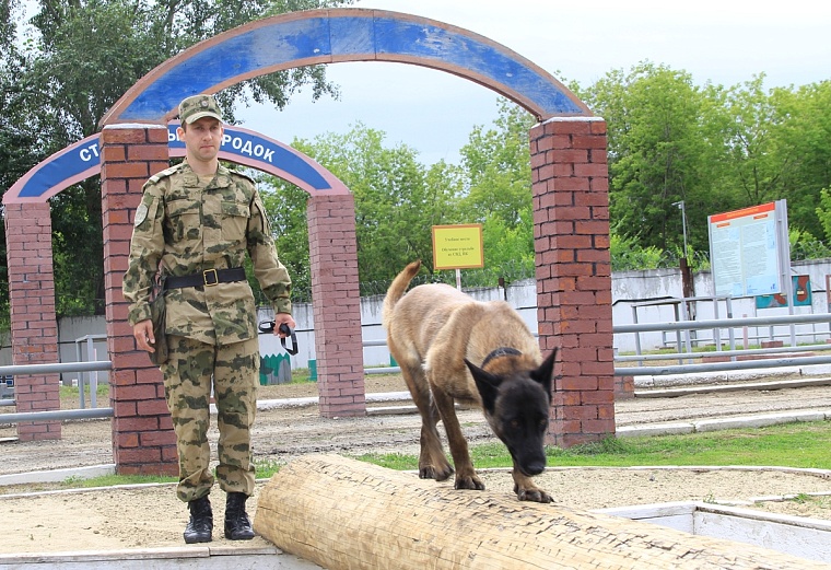 В Тюмени более 40 щенков служебных собак передали в подразделения Росгвардии