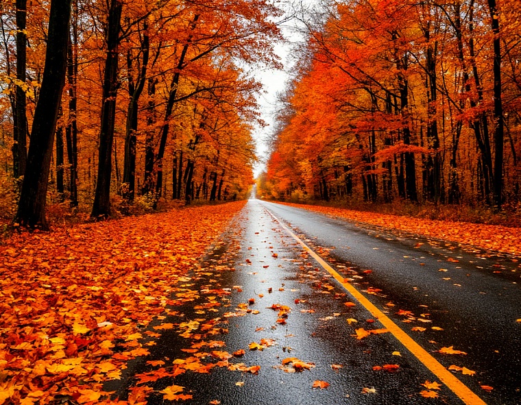 Тюменских водителей предупреждают об осенних опасностях на дорогах