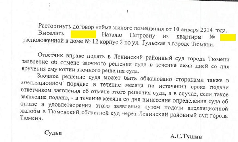 Задыхаются от запаха мочи: в Тюмени скандально известную заводчицу вновь обвиняют в устройстве «концлагеря» для кошек